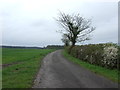 Track towards Malborough