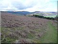 Part of the Black Mountains from Twyn y Gaer in spring