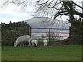 Black Mountains scene