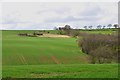 A derelict cottage in the middle of an arable field