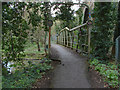 TQ0663 : River Wey footbridge by Alan Hunt