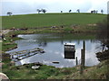 Pond at Aber Las Farm