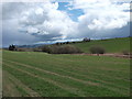 Winter farm yard manure spreading