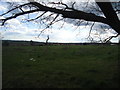 Playing fields, Debden