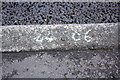 TQ4396 : Benchmark  on kerb outside #65 Newmans Lane by Roger Templeman