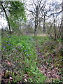 Dry ditch round Linford Wood