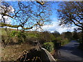 Road to Cornwood from Langham Bridge