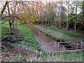 Valley Brook from Macon Way, Crewe