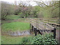 One of the ponds at Crewe Business Park nature trail