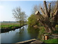 Salisbury - River Avon