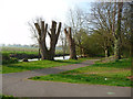 Salisbury - River Avon