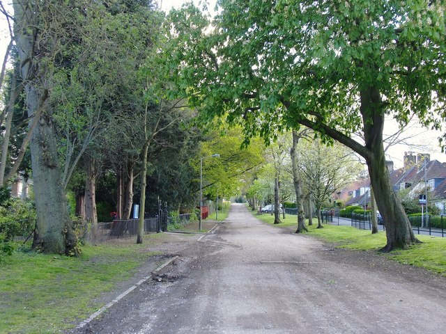 Putney Park Lane