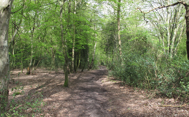 Three Forests Way © Roger Jones cc-by-sa/2.0 :: Geograph Britain and ...