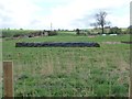 A field full of veg beds, south of Newbiggin Lane