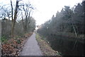 SU8353 : Basingstoke Canal by N Chadwick