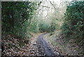 Sunken bridleway