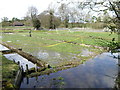 Water cress beds near Kimpton Mill