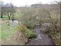 Confluence of Crook Burn and Bailey Water