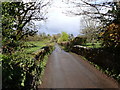 Bridge over the River Yealm, Moor Cross, Cornwood