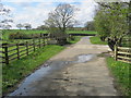 Ravensford footbridge