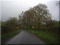 Eridge Road going towards Eridge