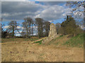 The West Moat after a dry winter