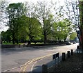 Canning Place/St Margarets churchyard