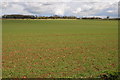 ST9097 : Arable land at Cherington by Philip Halling