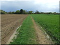 Green Footpath