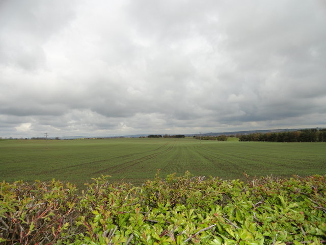 Open fieldscape at Hetton le Hill