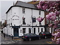 Albert Arms, Esher