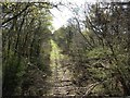 The site of the dismantled Newton Abbot to Bovey Tracey railway