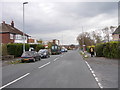 Green Lane - viewed from Moseley Wood Green