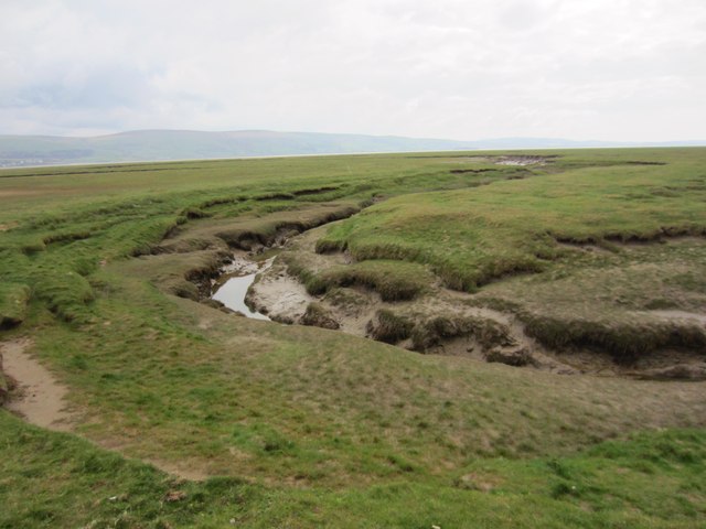 A typical view of Arnaby Marsh