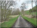 NZ1545 : Narrow lane in the Browney valley by Christine Johnstone