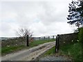 NZ1645 : Gated lane at Greenwell Farm by Christine Johnstone
