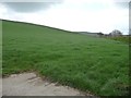 Browney valley farmland