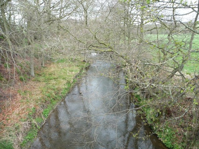 The River Browney © Christine Johnstone cc-by-sa/2.0 :: Geograph ...