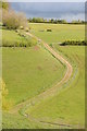 Track near Gatcombe Farm