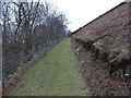 The footpath towards Cymmo