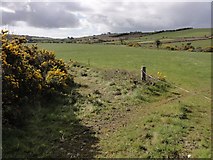 W3239 : Farmland near Clonakilty by Neville Goodman