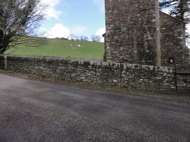 Cows beyond Castleventry church