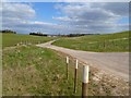 Track and downland, Netheravon