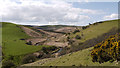 Slopes descending to Afon Cothi