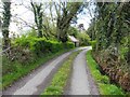 H2812 : Road at Kildallan by Kenneth  Allen