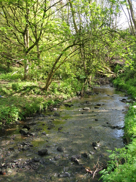Rivacre Brook