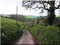 Country Lane, near Stogumber