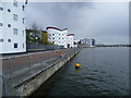 Royal Albert Dock and student accommodation at the University of East London