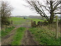 Footpath leading to Spring House