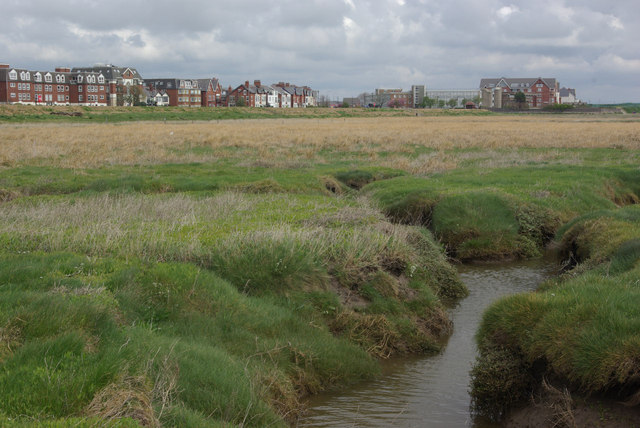 Ribble estuary salt marsh, Lytham © Stephen McKay cc-by-sa/2.0 ...